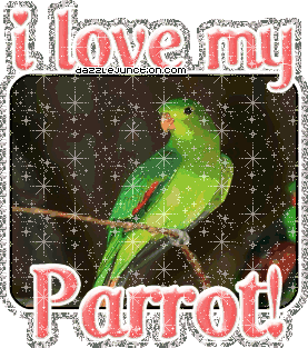 Animal Lovers I Love My Parrot picture