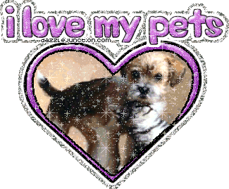 I Love My Pets