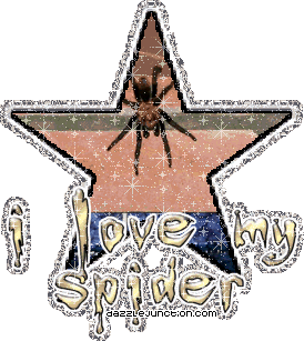 Animal Lovers I Love My Spider picture