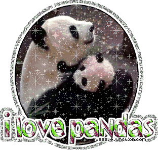 Animal Lovers I Love Pandas picture