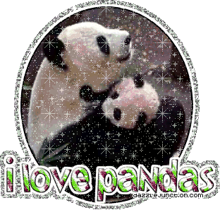 I Love Pandas 1