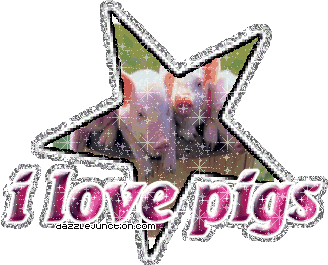 Animal Lovers I Love Pigs picture