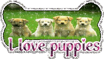 Animal Lovers I Love Puppies picture