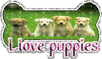 I Love Puppies