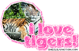 Animal Lovers I Love Tigers picture