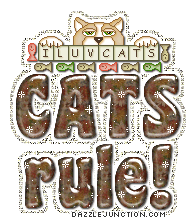 Cat Lovers Cats Rule quote
