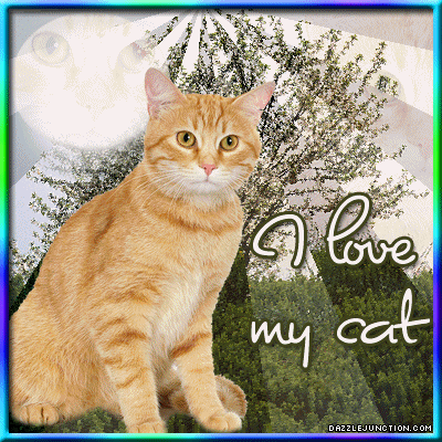 Cat Lovers I Love My Cat picture