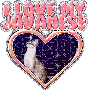 Cat Lovers I Love My Javanese picture