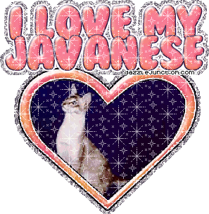 I Love My Javanese