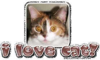 Cat Lovers I Love My Love Cat picture