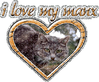 Cat Lovers I Love My Manx picture