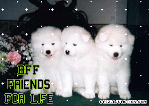 Cute Animals Bff Dogs quote