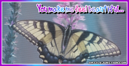 Cute Animals Butterfly Feel Beautiful quote