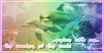 Dolphin Explore