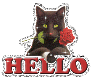Cute Animals Hello Kitty Rose picture