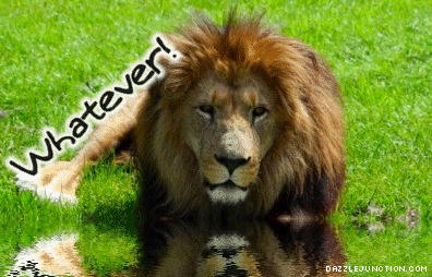 Lion Whatever