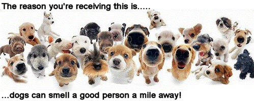Cute Animals Smell A Good Person picture