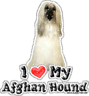 Dog Lovers Afghan Hound quote