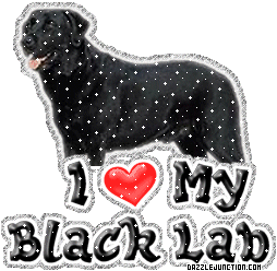 Dog Lovers Black Lab picture