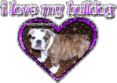 Dog Lovers Bulldog picture