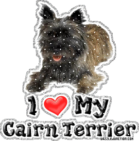Dog Lovers Cairn Terrier picture
