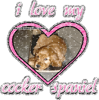 Dog Lovers Cocker Spaniel picture