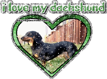 Dog Lovers Dachshund picture