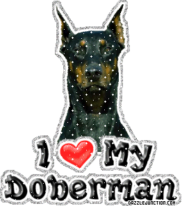 Dog Lovers Doberman picture