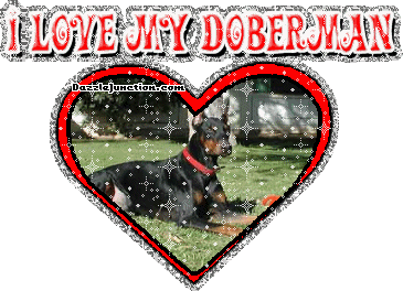 Dog Lovers Doberman picture