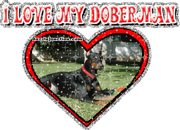 Doberman