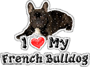 Dog Lovers French Bulldog picture