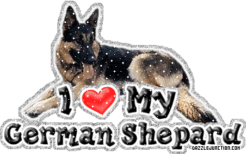 German Shepard