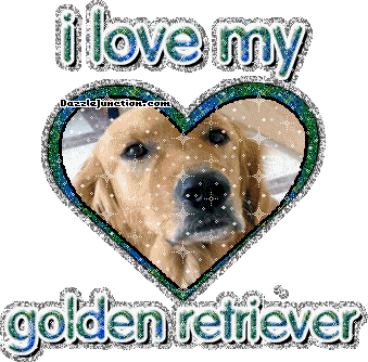 Dog Lovers Golden Retriever picture
