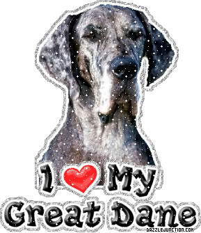 Dog Lovers Great Dane picture