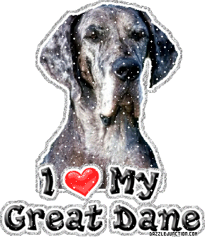 Great Dane
