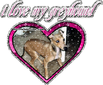 Dog Lovers Greyhound picture