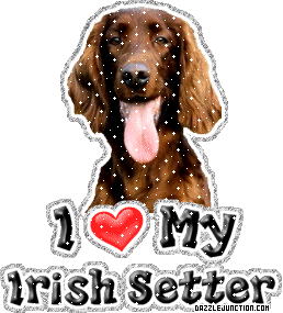 Dog Lovers Irish Setter picture