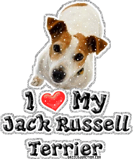 Dog Lovers Jack Russell Terrier picture