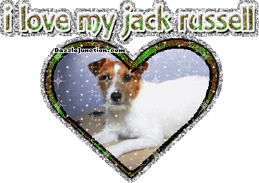 Dog Lovers Jack Russell picture