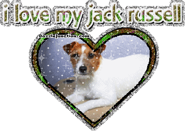 Jack Russell