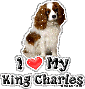 Dog Lovers King Charles picture