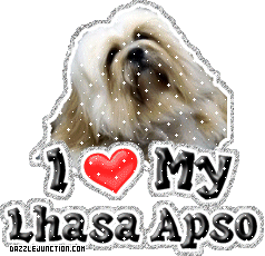 Dog Lovers Lhasa Apso picture