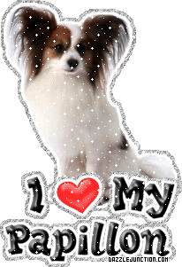 Dog Lovers Papillon picture