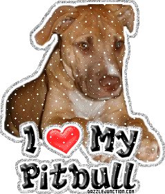 Dog Lovers Pitbull picture