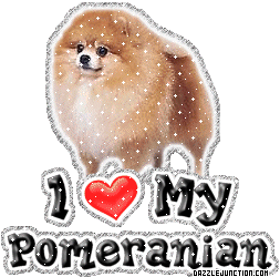 Dog Lovers Pomeranian picture