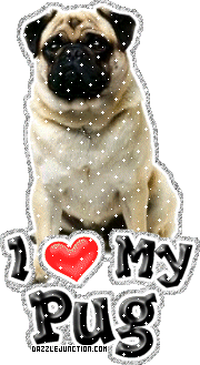 Dog Lovers Pug picture
