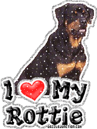 Dog Lovers Rottie picture
