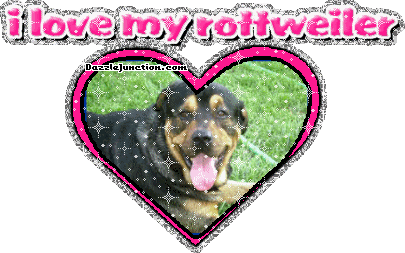Dog Lovers Rottweiler picture