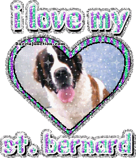 Saint Bernard