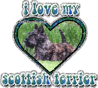 Dog Lovers Scottish Terrier picture